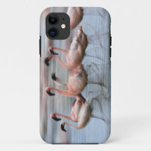 Coque iPhone 11 Flamants roses en mouvement, Phoenicopterus
