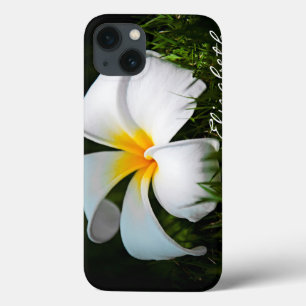 iPhone 13 Case Fleur blanche d'Hawaï de Frangipani de Plumeria