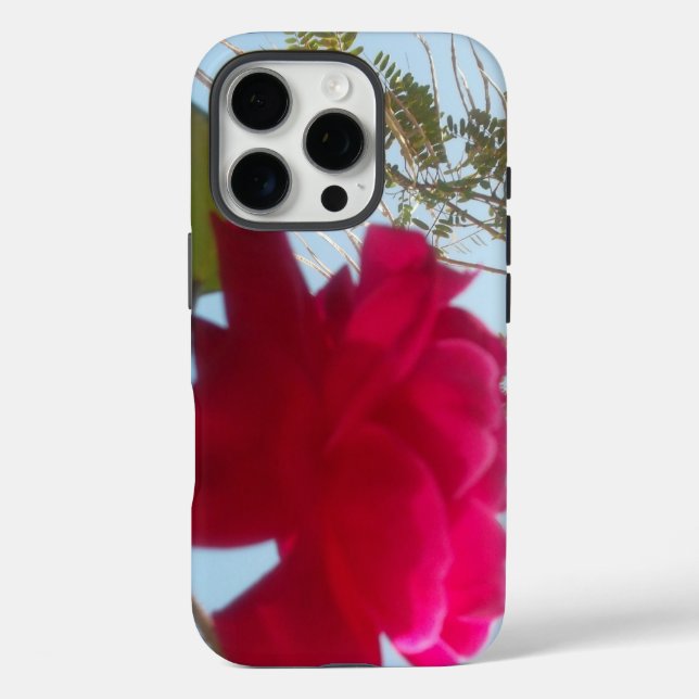 Coques Case-Mate iPhone Fleur céleste | Une rose rouge contre le ciel bleu (Verso)