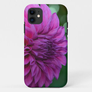 Coques Pour iPhone Fleur dahlia violette
