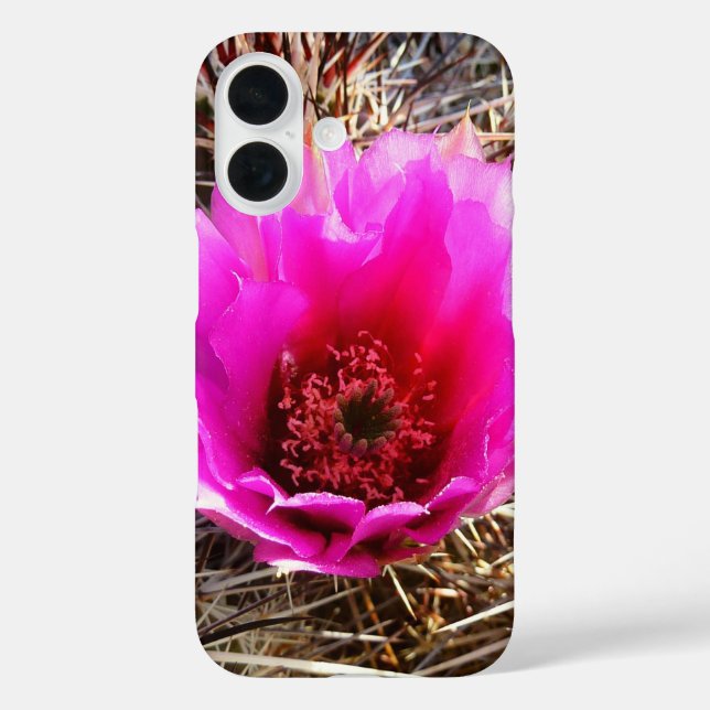 Coques Case-Mate iPhone Fleur de Cactus en Fleur (Figue de Barbarie) (Verso)