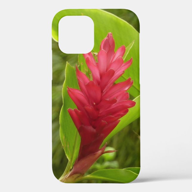 Coques Case-Mate iPhone Fleur de gingembre rouge (Alpinia) tropicale (Verso)