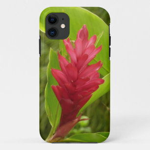 Coque iPhone 11 Fleur de gingembre rouge (Alpinia) tropicale