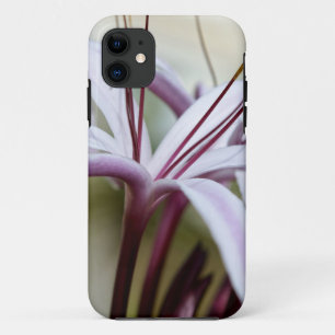 Coque Case-Mate iPhone Fleur de lys rose pâle, art photo botanique