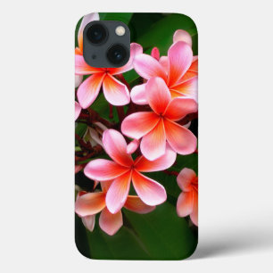 iPhone 13 Coque Fleur de Plumeria vert rose tropical Photo florale