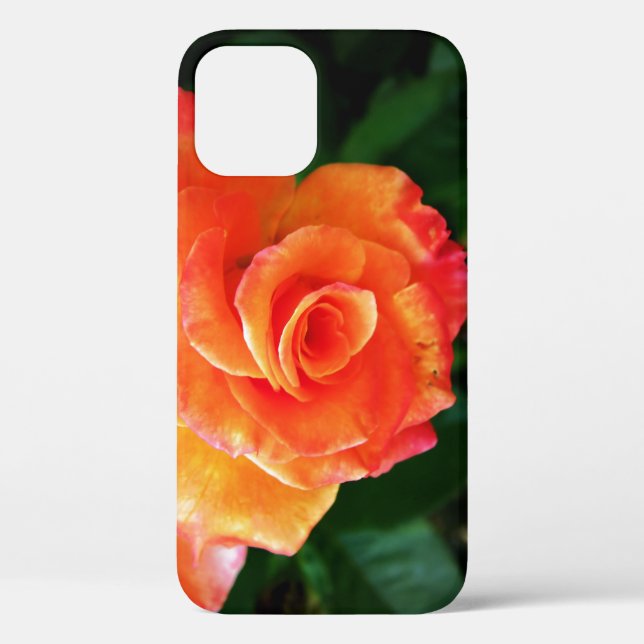 Coques Case-Mate iPhone Fleur de rose orange (Verso)