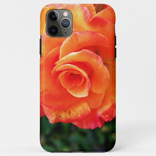 Coques Case-Mate iPhone Fleur de rose orange (Dos)