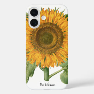 Coques iPhone 16 Fleur de tournesol vintage par Basilius Besler