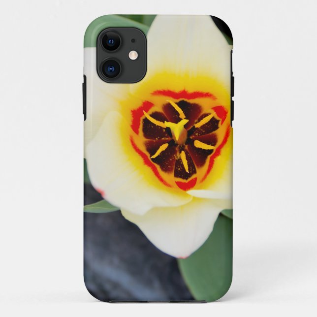 Coques Case-Mate iPhone Fleur de tulipe (Dos)