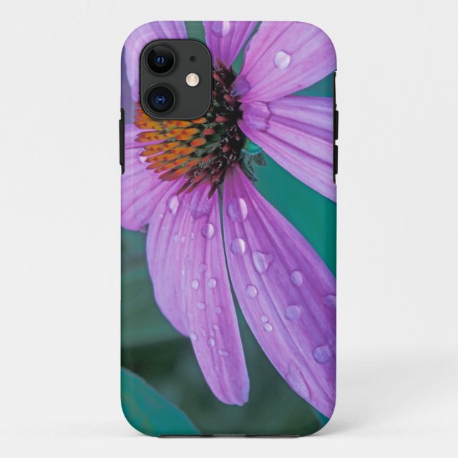Coques Case-Mate iPhone fleur d'Echinacea pourpre avec gouttes d'eau (Dos)