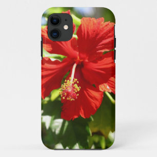 Coque iPhone 11 Fleur d'Hibiscus de l'Hawaï