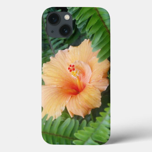 Coques Case-Mate iPhone Fleur d'Hibiscus orange avec des fougères (Verso)