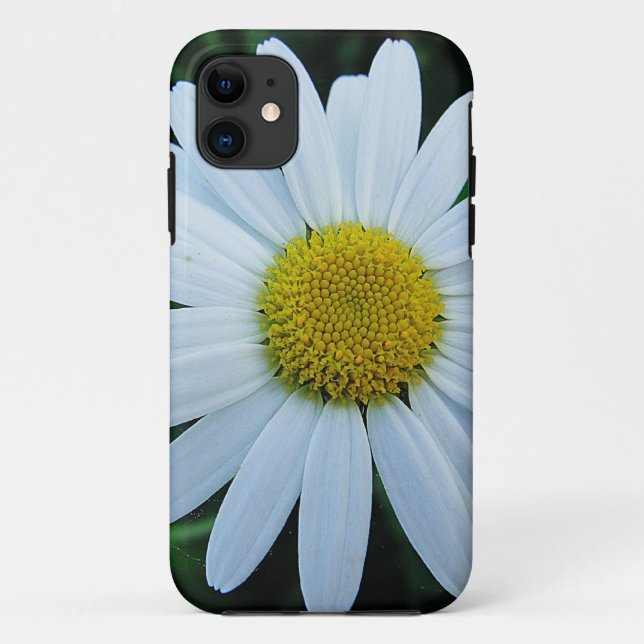 Coques Case-Mate iPhone Fleur Margerite blanche (Dos)