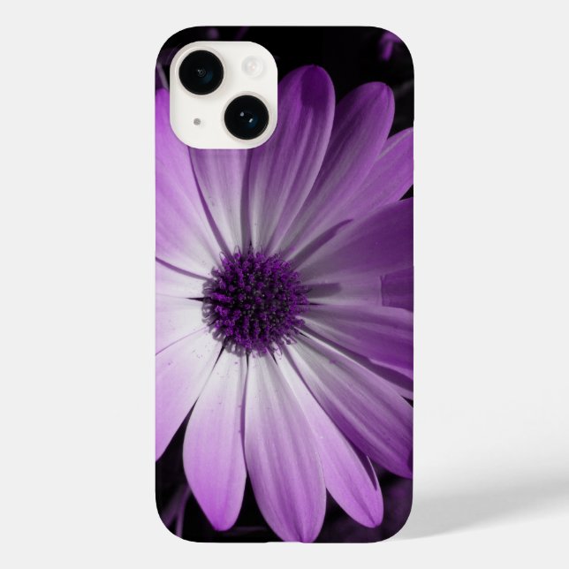 Coques Case-Mate iPhone Fleur marguerite violette (Verso)