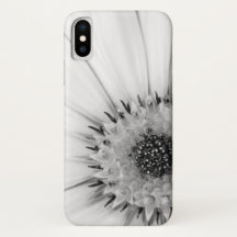 Fleur monochrome de marguerite africaine