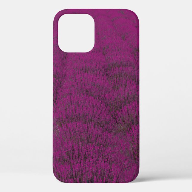 Coques Case-Mate iPhone Fleur rose pétée (Verso)