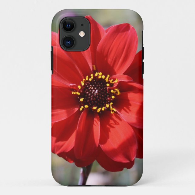 Coques Case-Mate iPhone Fleur rouge (Dos)