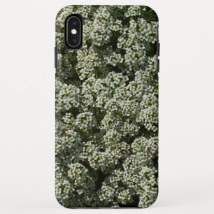 Case-Mate iPhone Case Fleurs d'Alyssum doux Floral blanc