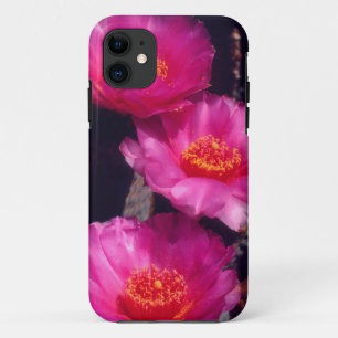 Coque iPhone 11 Fleurs de Cactus Beavertail 2