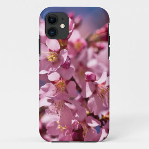 Coque Case-Mate Pour iPhone Fleurs de cerisier Sakura embrassées par la lumièr