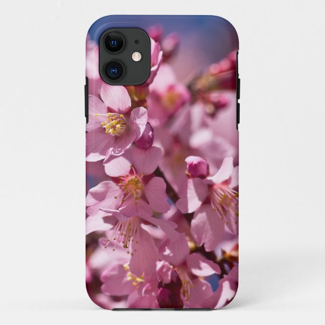 Coques Case-Mate iPhone Fleurs de cerisier Sakura embrassées par la lumièr (Dos)