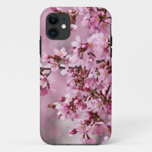 Coque iPhone 11 Fleurs de Cerisier Sakura Pastel Rose Calquees