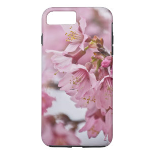 Coque iPhone 7 Plus Fleurs de cerisier Sakura rose pâle