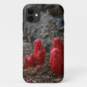 Etui iPhone Case-Mate Fleurs de neige