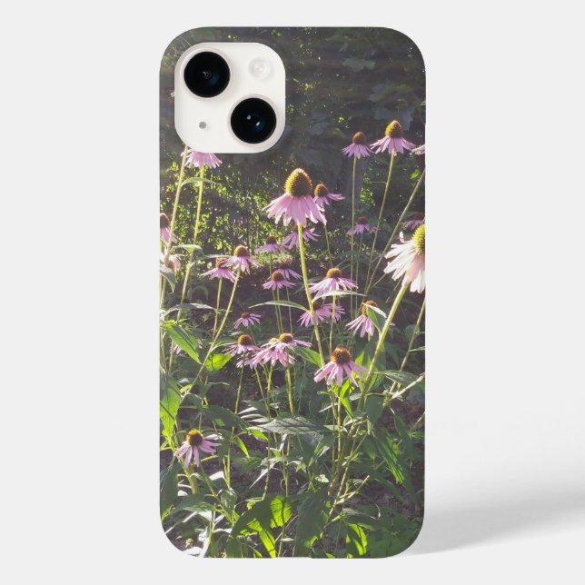 Coques Case-Mate iPhone Fleurs d'échinacée au soleil (Verso)
