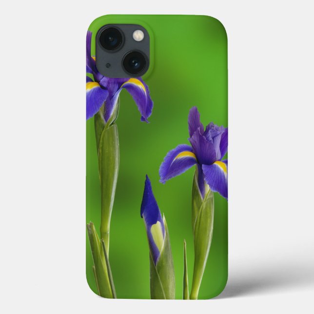 Coques Case-Mate iPhone Fleurs d'iris (Verso)