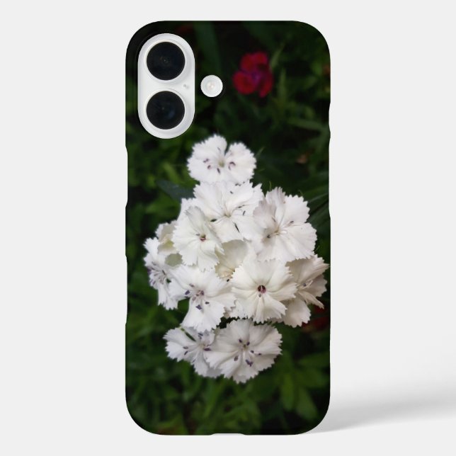 Coques Case-Mate iPhone Fleurs d'oeillets blanches (Verso)