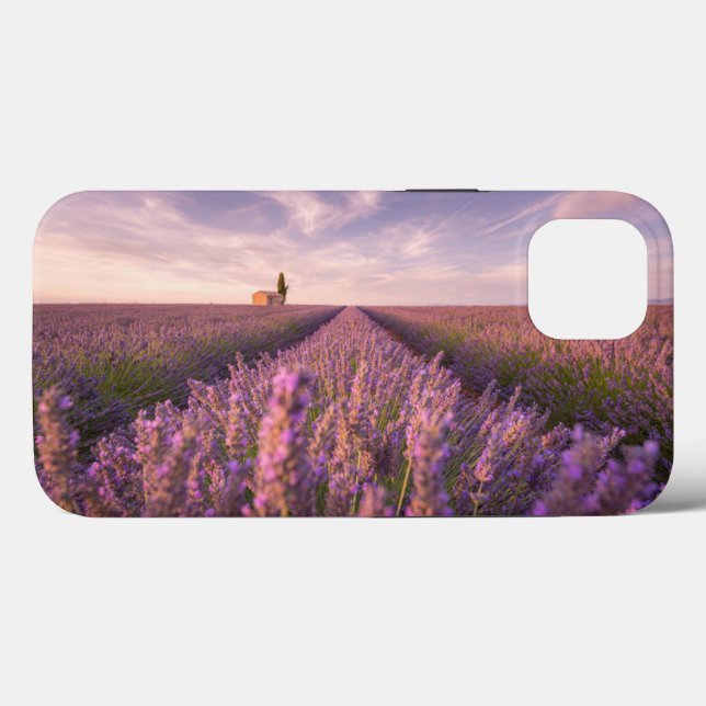 Coques Case-Mate iPhone Fleurs | Lavande Sud France (Verso (horizontal))