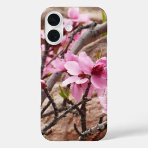 Coque Pour iPhone 16 Fleurs printanières sur les rochers de Zion