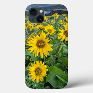 Case-Mate iPhone Case Fleurs Rivière Balsomroot Columbia, Oregon