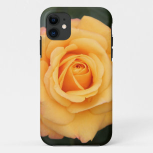 Coque iPhone 11 Fleurs roses fleurs fleur amour femme couple amour