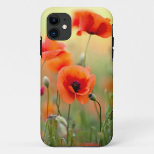 Coques Pour iPhone Fleurs rouges de pavot