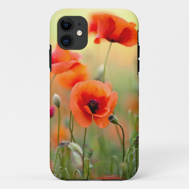 Coques Case-Mate iPhone Fleurs rouges de pavot (Dos)