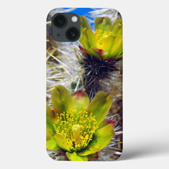 Coques Case-Mate iPhone Fleurs sauvages de Cactus Cholla argenté (Verso)
