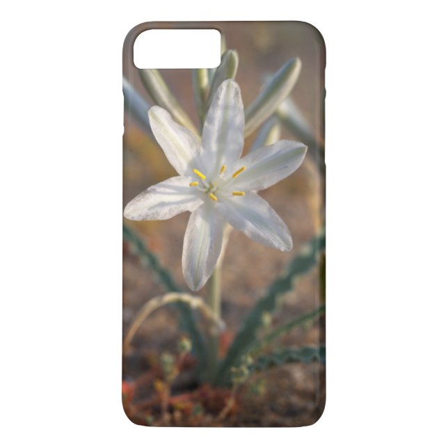 Coques Case-Mate iPhone Fleurs sauvages de lys du désert (Dos)