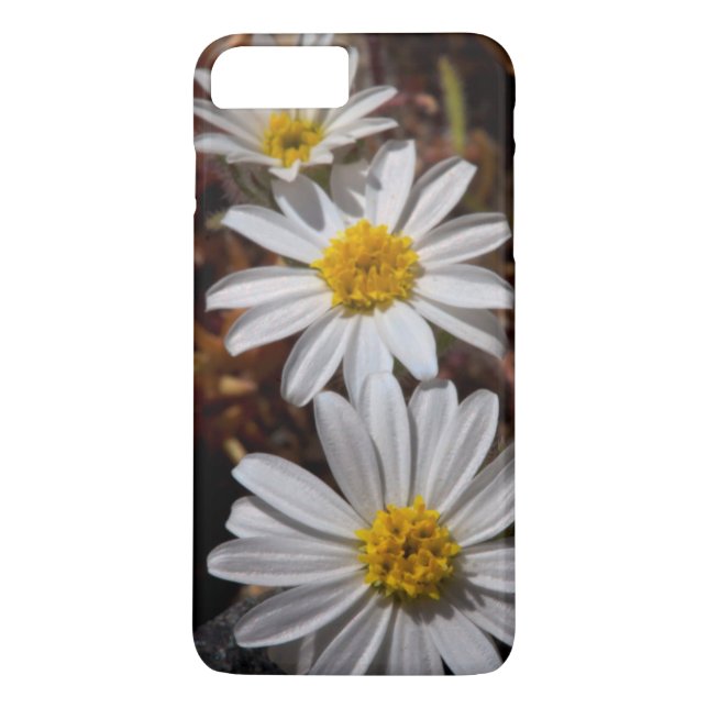 Coques Case-Mate iPhone Fleurs sauvages Desert Star (Dos)