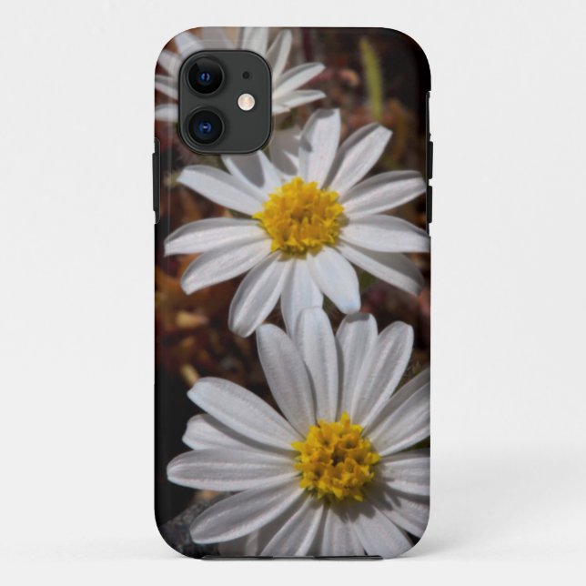 Coques Case-Mate iPhone Fleurs sauvages Desert Star (Dos)