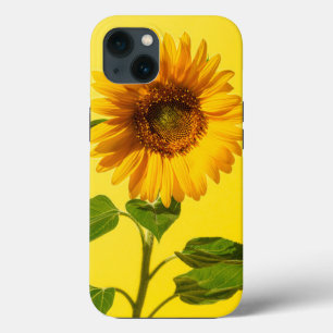 Case-Mate iPhone Case Fleurs   Tournesol jaune