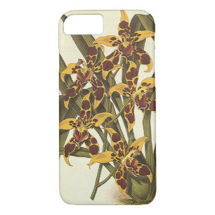 Case-Mate iPhone Case Fleurs vintages Tropicales Odontoglossum Orchidées