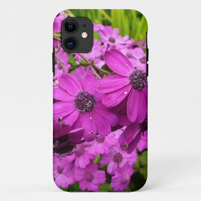 Coques Case-Mate iPhone Fleurs violettes de San Francisco (Dos)