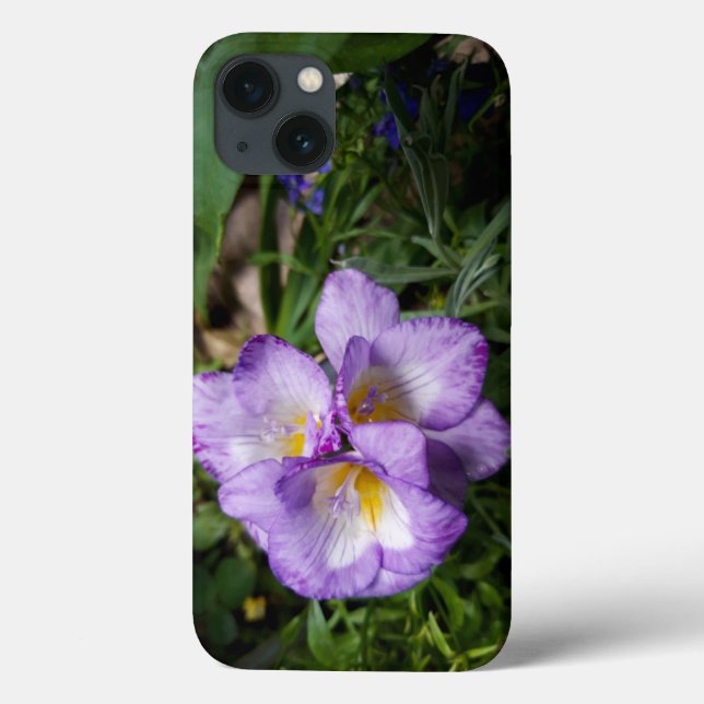 Coques Case-Mate iPhone Fleurs violettes Freesia (Verso)