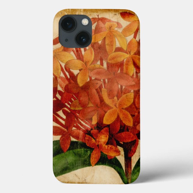 Coques Case-Mate iPhone Floral III (Verso)
