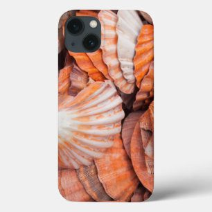 Coque Case-Mate iPhone Florida Keys, Key West, coquillages