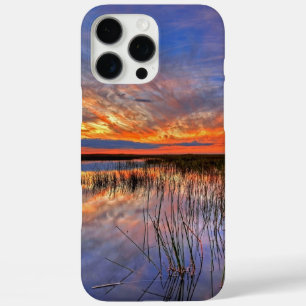 Coque iPhone 16 Pro Max Floride Everglades
