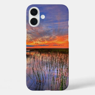 Coque Pour iPhone 16 Plus Floride Everglades