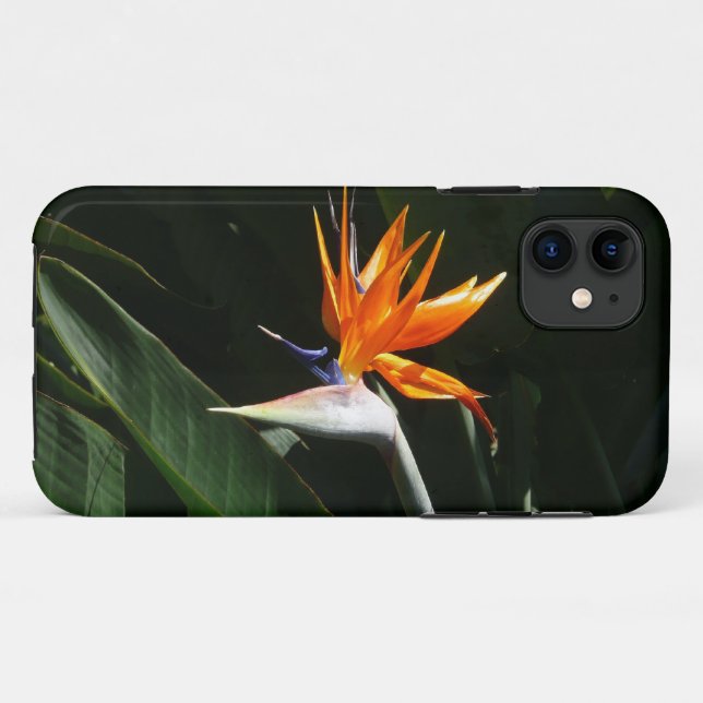 Coques Case-Mate iPhone Flower tropical orange paradise (Dos (Horizontal))